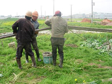 at working sitehuanli